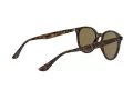 Ray-Ban RB 4305 710/73 53 Men, Women sunglasses