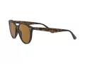Ray-Ban RB 4305 710/83 53 Men, Women sunglasses