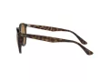 Ray-Ban RB 4305 710/83 53 Men, Women sunglasses