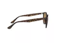 Ray-Ban RB 4305 710/83 53 Men, Women sunglasses