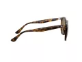 Ray-Ban RB 4306 710/73 54 Men, Women sunglasses