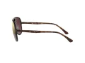 Ray-Ban RB 4320/CH 710/6B 58 Men, Women sunglasses