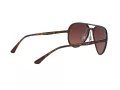 Ray-Ban RB 4320/CH 710/6B 58 Men, Women sunglasses