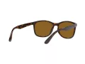 Ray-Ban RB 4374 710/33 56 Men, Women sunglasses