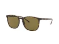 Ray-Ban RB 4387 710/73 56 Men, Women sunglasses