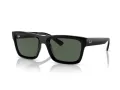 Ray-Ban Warren RB 4396 667771 57 Men, Women sunglasses