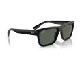 Ray-Ban Warren RB 4396 667771 57 Men, Women sunglasses