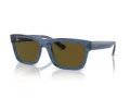 Ray-Ban Warren RB 0RB4396 668073 54 Men, Women sunglasses