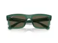 Ray-Ban Warren RB 0RB4396 6681/3 54 Men, Women sunglasses