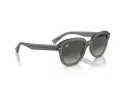 Ray-Ban Erik RB 0RB4398 667571 51 Men, Women sunglasses