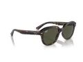 Ray-Ban Erik RB 0RB4398 902/31 51 Men, Women sunglasses