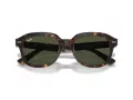 Ray-Ban Erik RB 0RB4398 902/31 53 Men, Women sunglasses