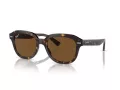 Ray-Ban Erik RB 0RB4398 902/57 51 Men, Women sunglasses