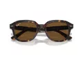 Ray-Ban Erik RB 0RB4398 902/57 53 Men, Women sunglasses