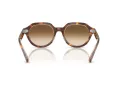 Ray-Ban Gina RB 4399 141451 53 Men, Women sunglasses