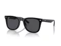 Ray-Ban RB 4420 601/87 65 Men, Women sunglasses