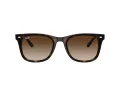 Ray-Ban RB 4420 710/13 65 Men, Women sunglasses