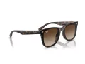 Ray-Ban RB 4420 710/13 65 Men, Women sunglasses