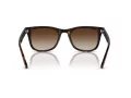 Ray-Ban RB 4420 710/13 65 Men, Women sunglasses