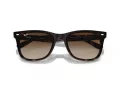 Ray-Ban RB 4420 710/13 65 Men, Women sunglasses