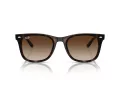 Ray-Ban RB 4420 710/13 65 Men, Women sunglasses