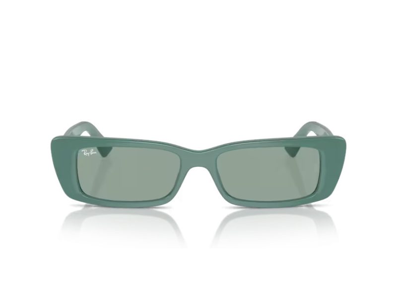 Ray-Ban Teru RB 4425 676282 54 Men, Women sunglasses