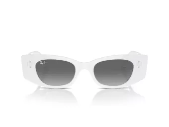 Ray-Ban Kat RB 4427 675911 49 Men, Women sunglasses