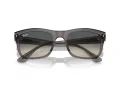 Ray-Ban RB 0RB4428 667571 56 Men, Women sunglasses