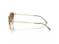 Ray-Ban RB 0RB4429 672151 55 Men, Women sunglasses