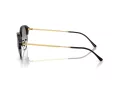 Ray-Ban RB 0RB4429 672332 55 Men, Women sunglasses