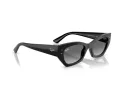 Ray-Ban Zena RB 4430 667711 49 Men, Women sunglasses