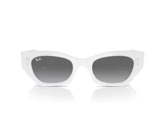 Ray-Ban Zena RB 4430 675911 49 Men, Women sunglasses