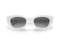 Ray-Ban Zena RB 4430 675911 49 Men, Women sunglasses