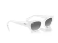 Ray-Ban Zena RB 4430 675911 49 Men, Women sunglasses