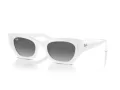 Ray-Ban Zena RB 4430 675911 52 Men, Women sunglasses