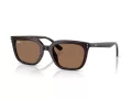 Ray-Ban RB 4439D 623173 54 Men, Women sunglasses