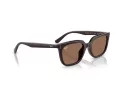 Ray-Ban RB 4439D 623173 54 Men, Women sunglasses