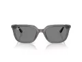 Ray-Ban RB 4439D 667587 54 Men, Women sunglasses
