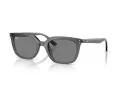 Ray-Ban RB 4439D 667587 54 Men, Women sunglasses