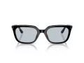 Ray-Ban RB 4439D 901/72 54 Men, Women sunglasses
