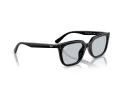 Ray-Ban RB 4439D 901/72 54 Men, Women sunglasses