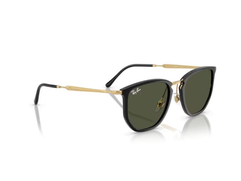 Ray-Ban RB 4451 630631 53 Men, Women sunglasses