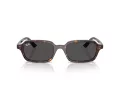 Ray-Ban Zuri RB 4455 135987 49 Men, Women sunglasses