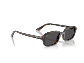 Ray-Ban Zuri RB 4455 135987 52 Men, Women sunglasses