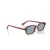 Ray-Ban Zuri RB 4455 680980 49 Men, Women sunglasses