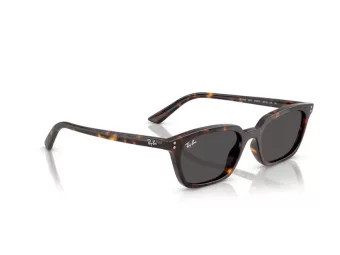 Ray-Ban Zaya RB 4456 135987 53 Men, Women sunglasses