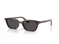 Ray-Ban Zaya RB 4456 135987 53 Men, Women sunglasses