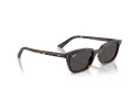 Ray-Ban Zaya RB 4456 135987 53 Men, Women sunglasses