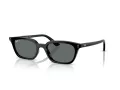 Ray-Ban Zaya RB 4456 667781 53 Men, Women sunglasses