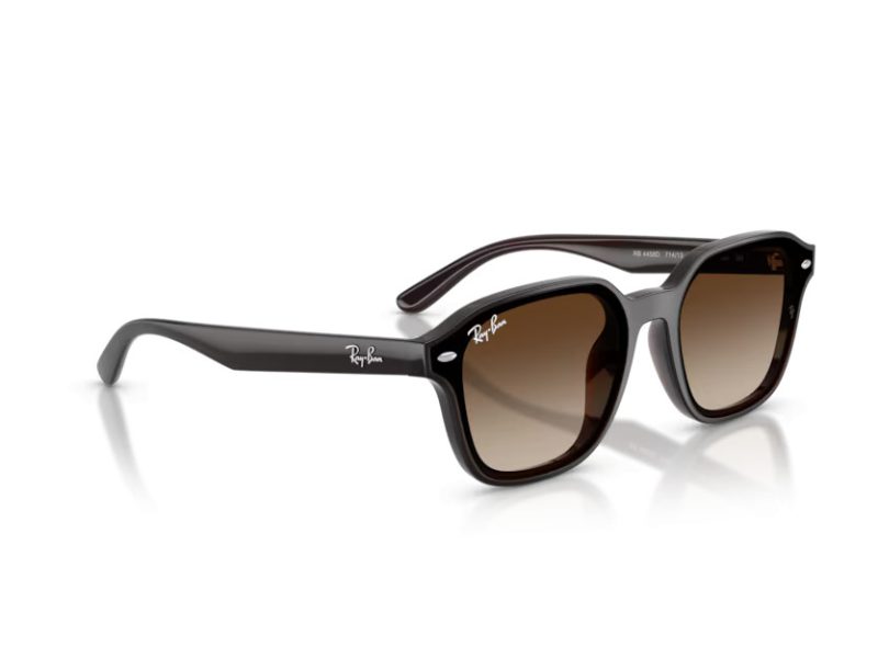 Ray-Ban RB 4458D 714/13 65 Men, Women sunglasses